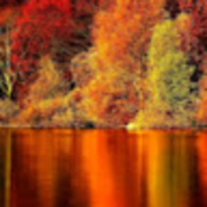 Meet your Posher, Sydney